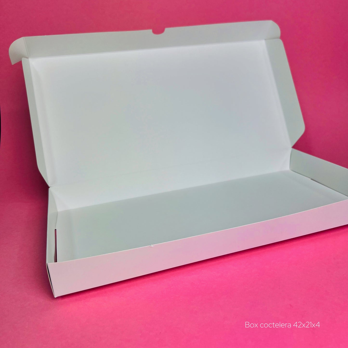 Box Coctelera Blanco 42x21x4