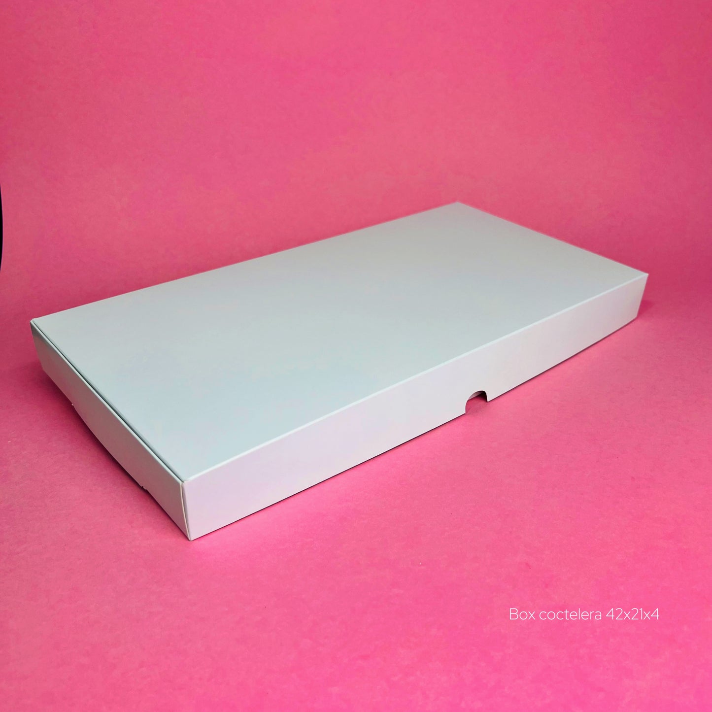 Box Coctelera Blanco 42x21x4