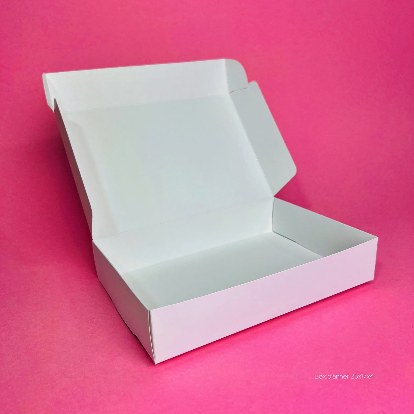 Box Planner BLANCO 25x17x5
