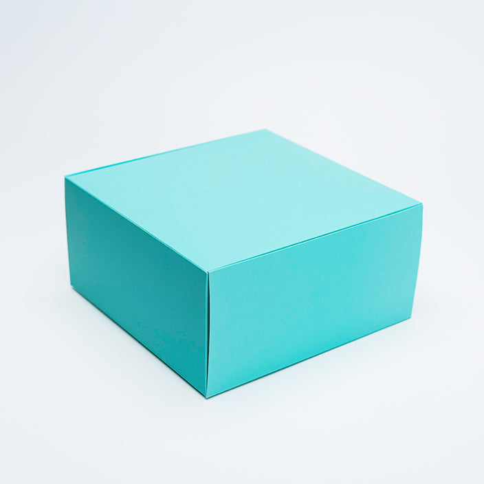 BOX CUBO MENTA 20X20X10