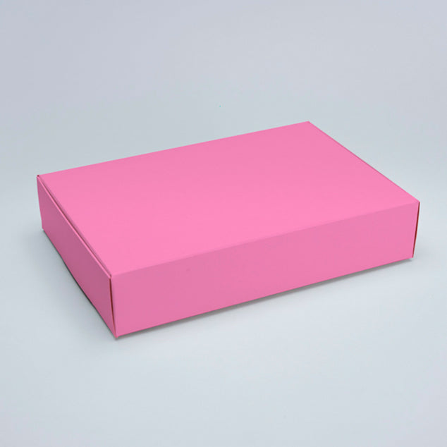BOX PLANNER ROSADO 25X17X5