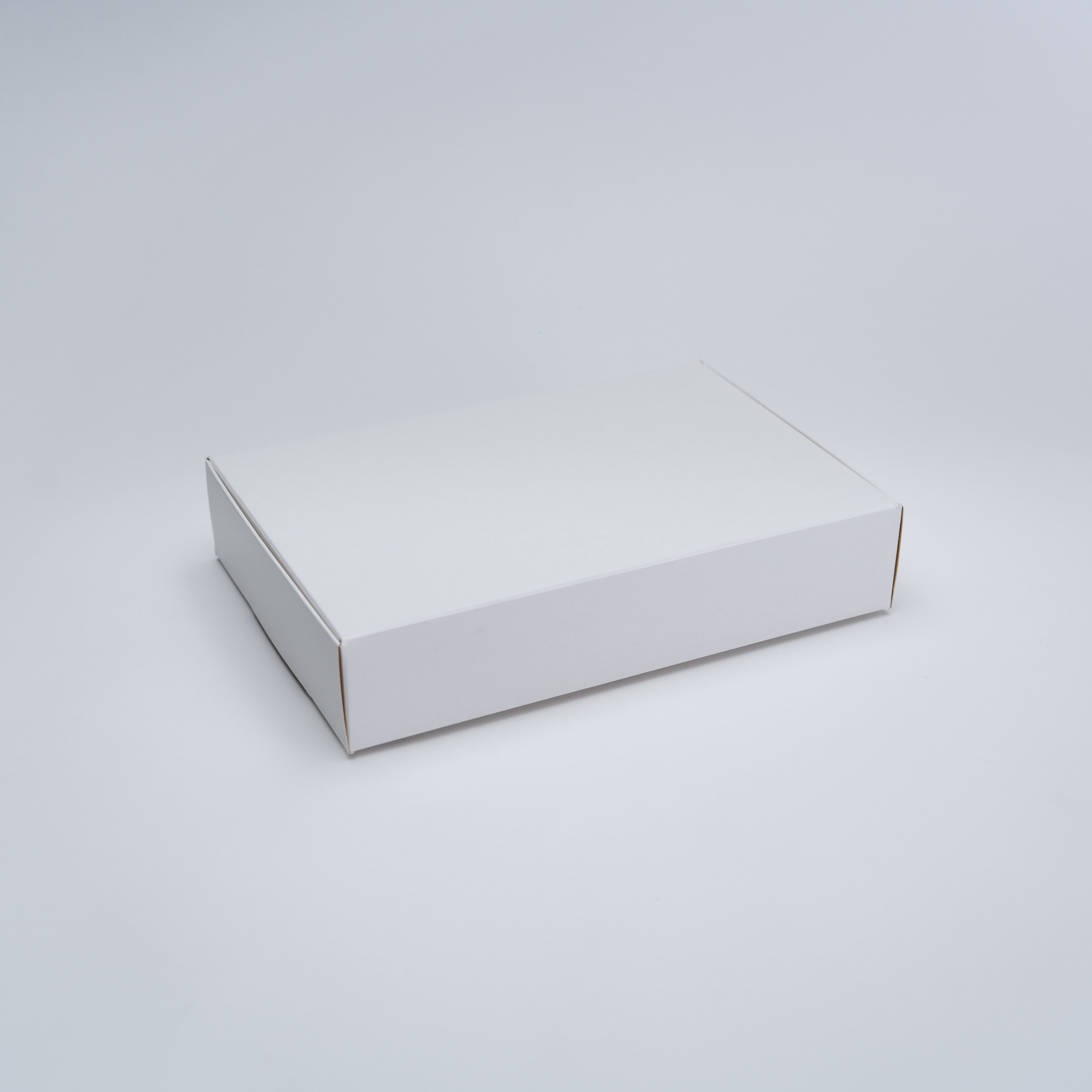 BOX PLANNER BLANCO 25X17X5