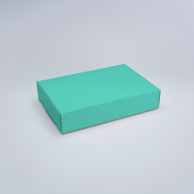 BOX PLANNER MENTA 25X17X5