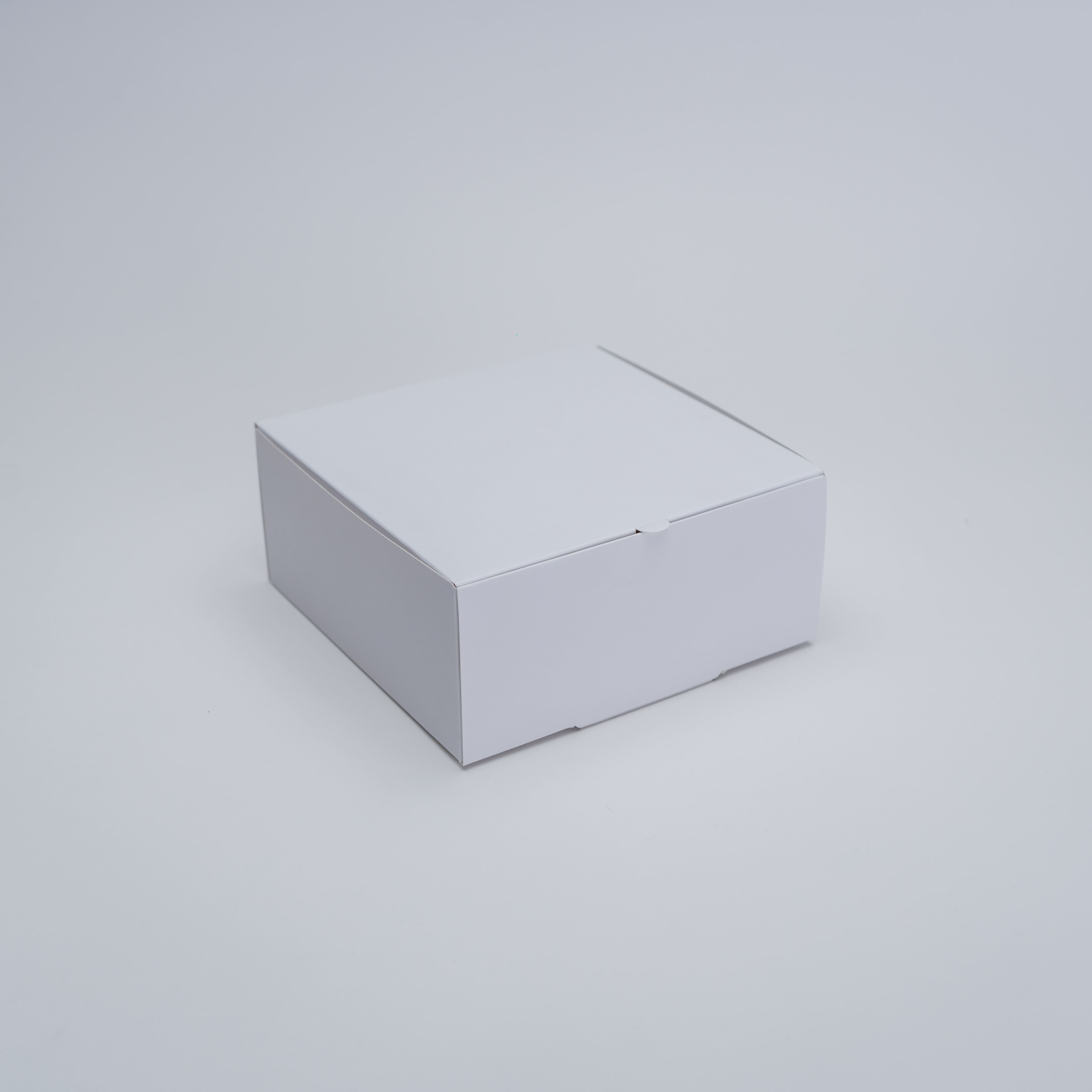 BOX GRANDE BLANCO 18X18X8 