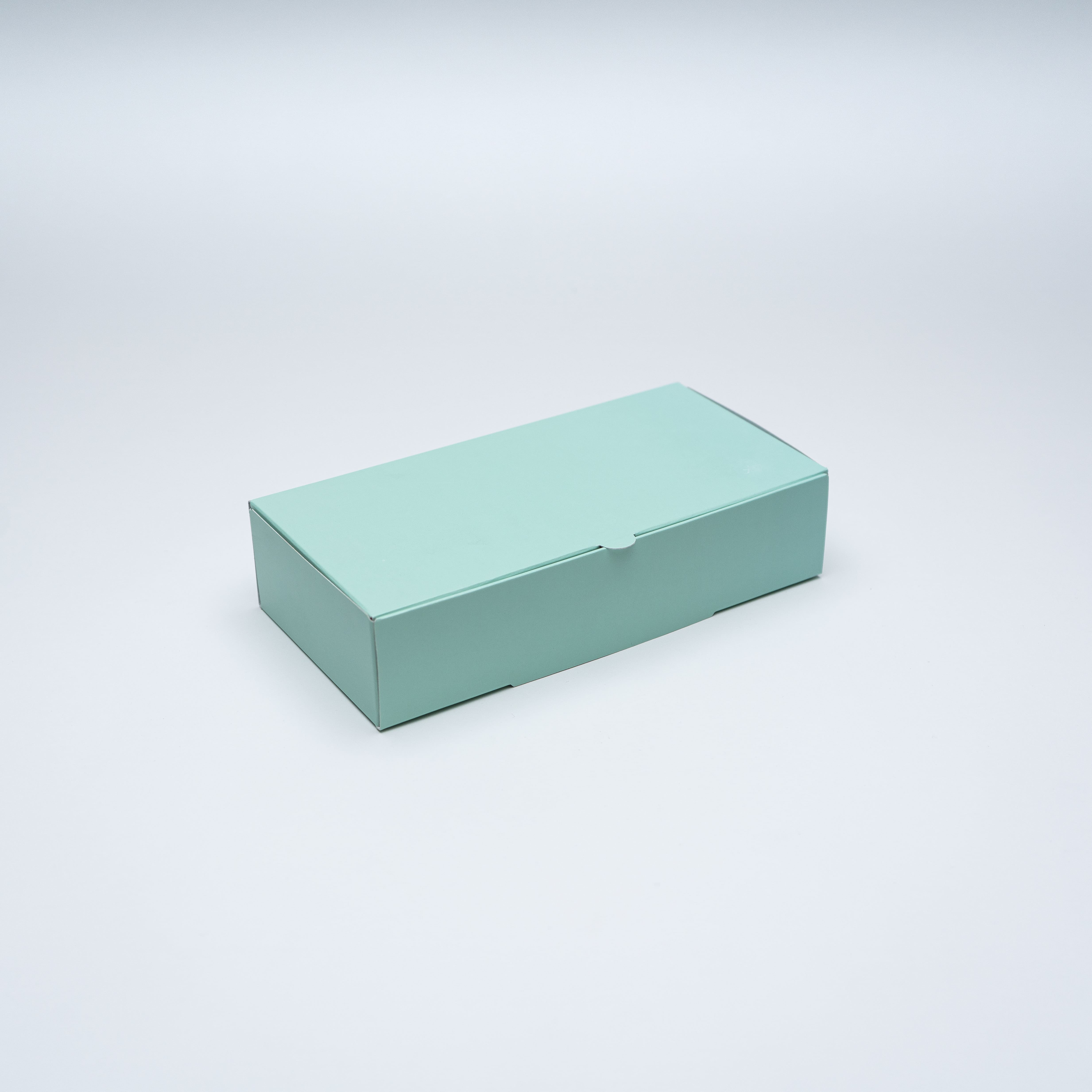 BOX SUSHI MENTA  22X11X5 