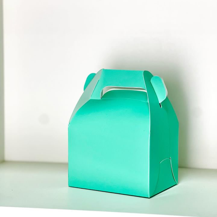 BOX POKET MENTA 11X8.5X10