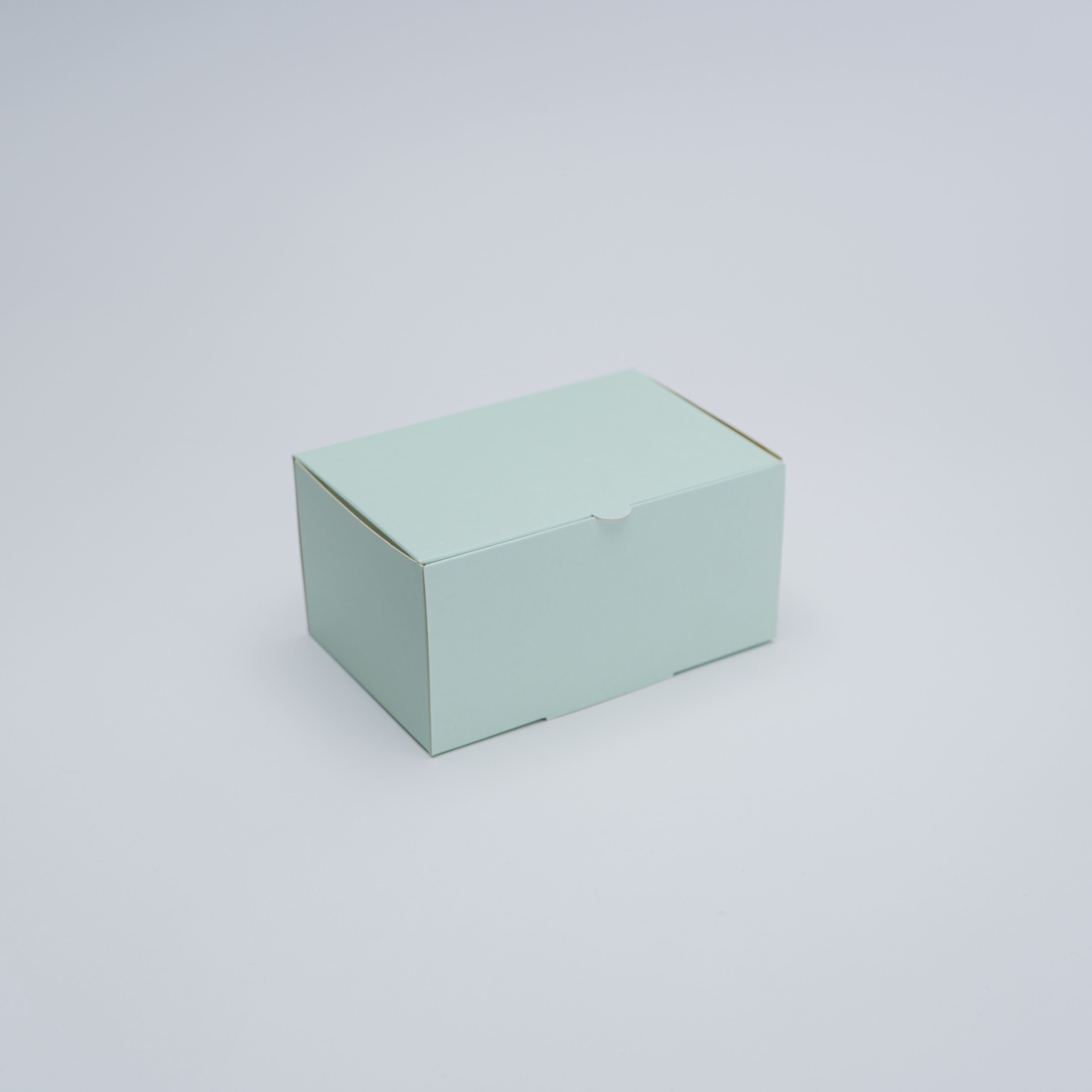 BOX RECTANGULAR MENTA 16X10X8 