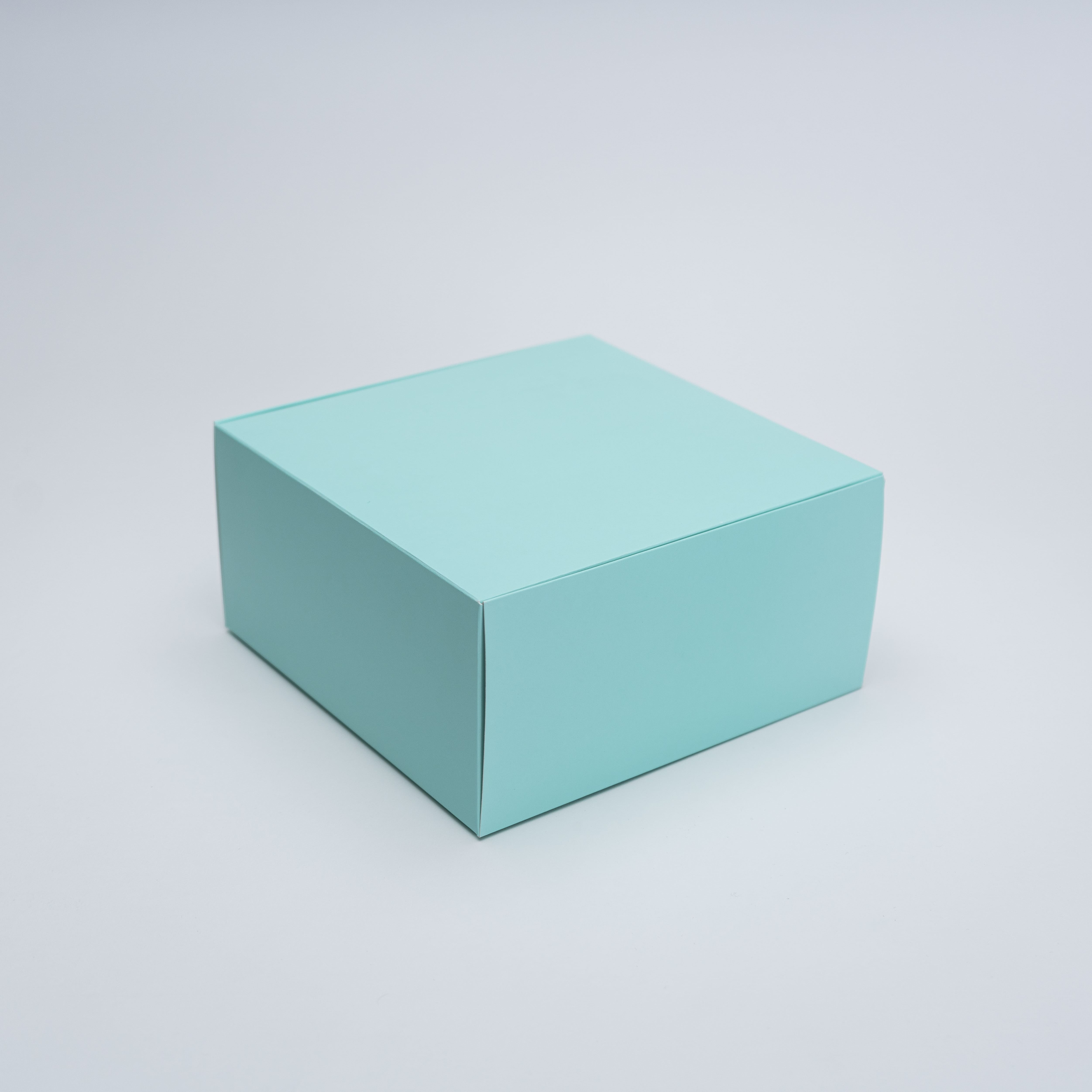 BOX CUBO MENTA 20X20X10 CMS