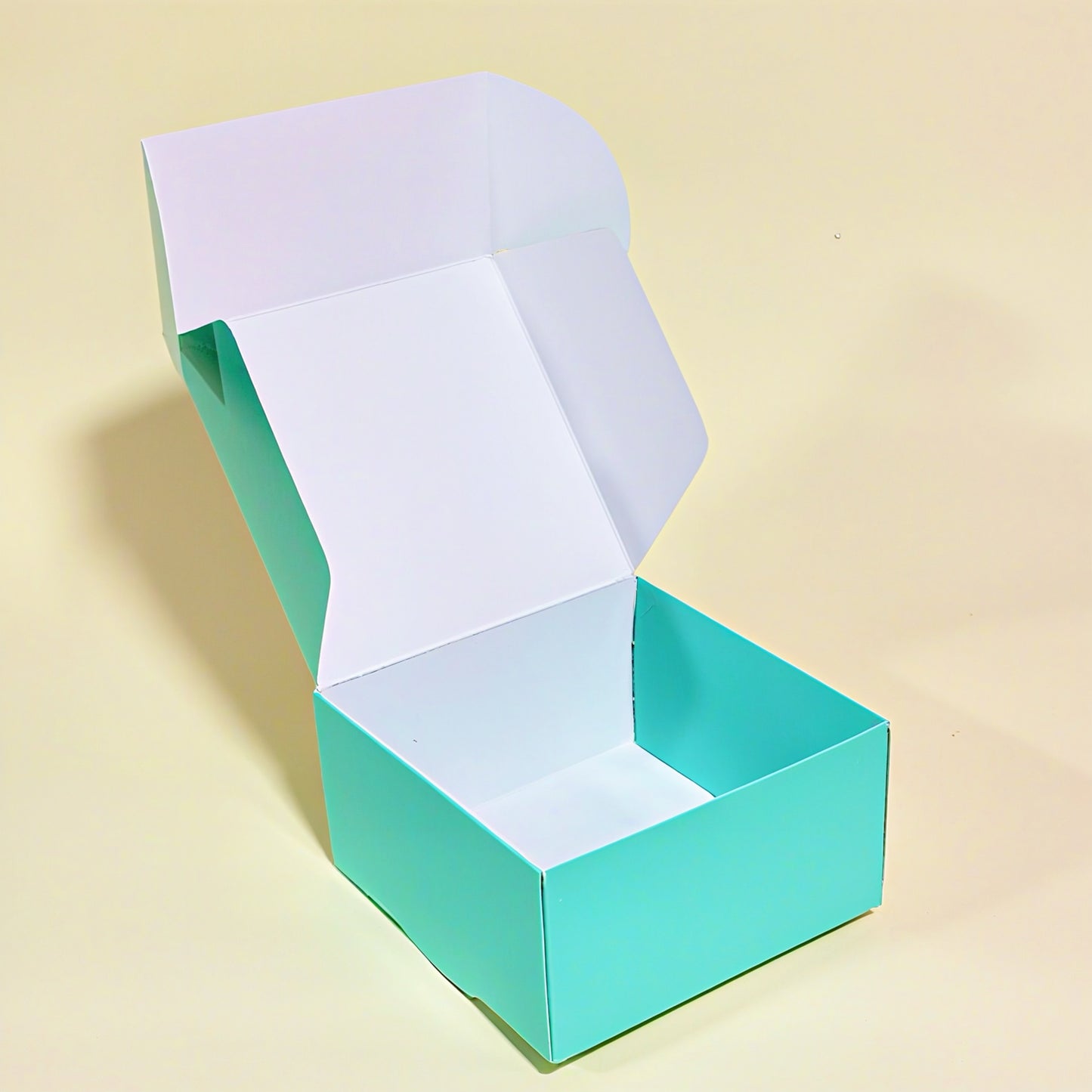 BOX MARTINA MENTA 15x15x8