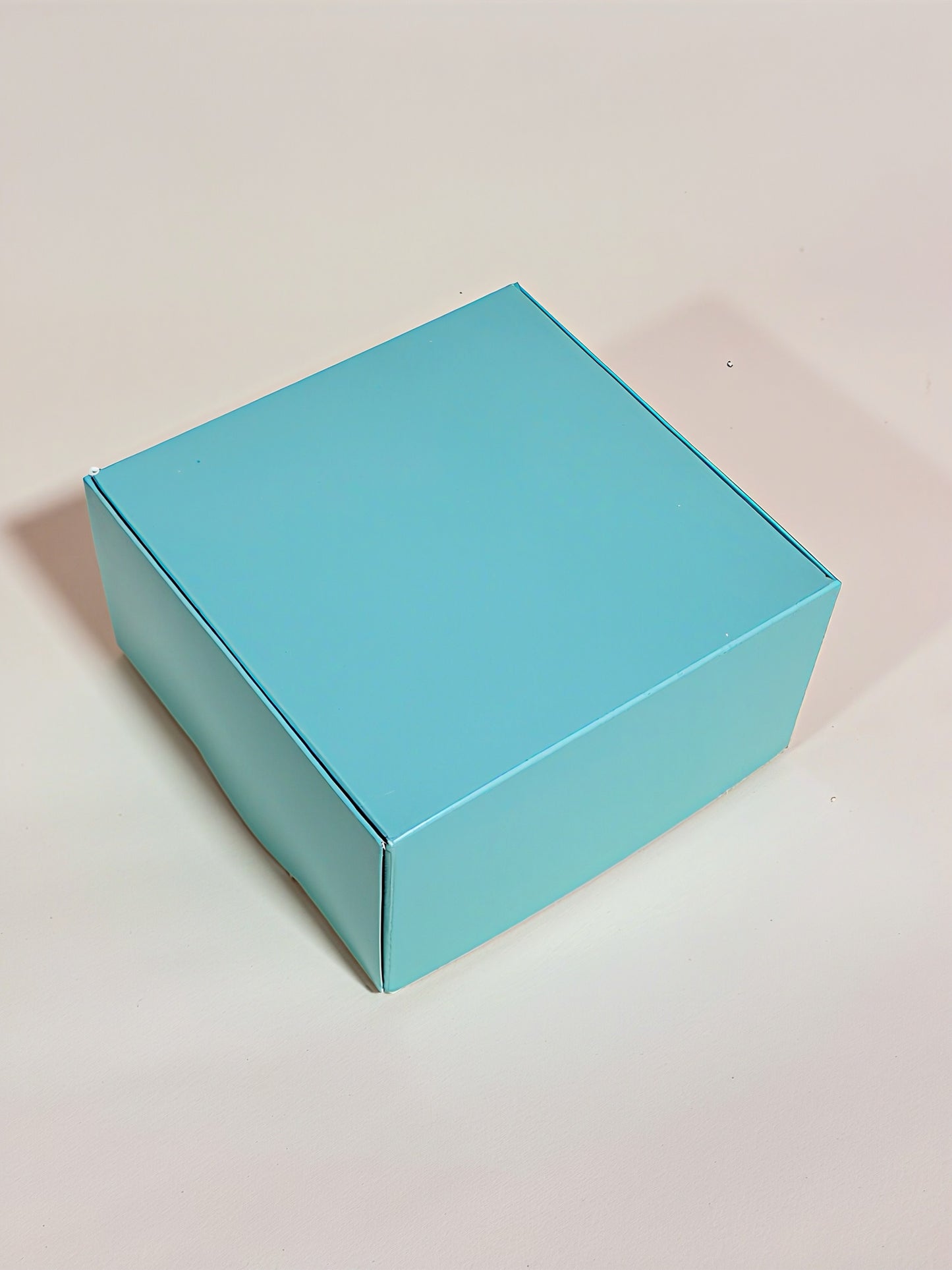 BOX MARTINA MENTA 15x15x8