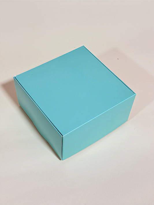 BOX MARTINA MENTA 15x15x8