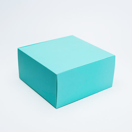 BOX CUBO MENTA 20X20X10