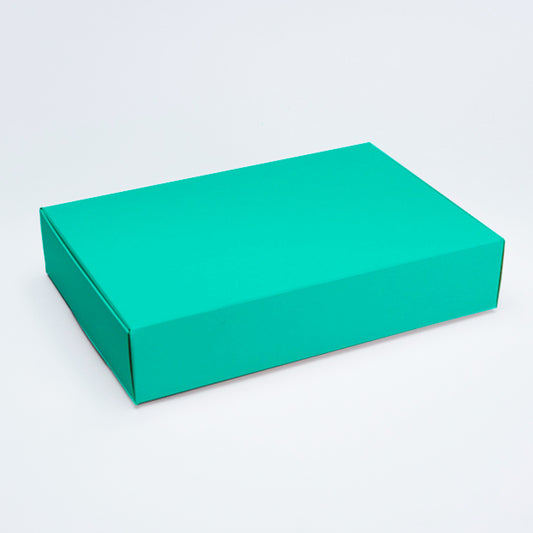 BOX PLANNER MENTA 25X17X5