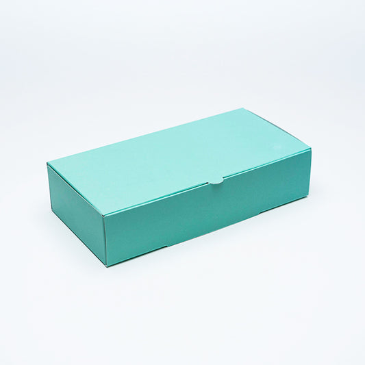BOX SUSHI MENTA 22X11X5
